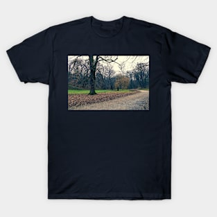 Walkway in a park in cold blue colors T-Shirt